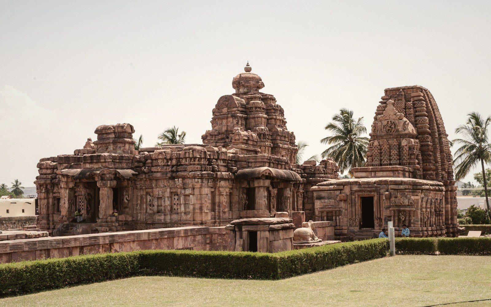 Ancient stone temples with carved towers stand beside palm trees under a clear sky